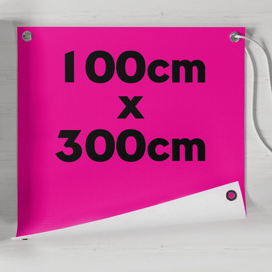 Banner 100x300
