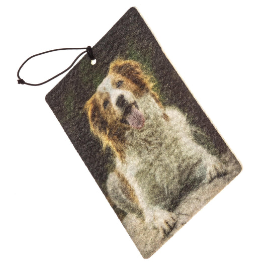 Personalised Air Freshener