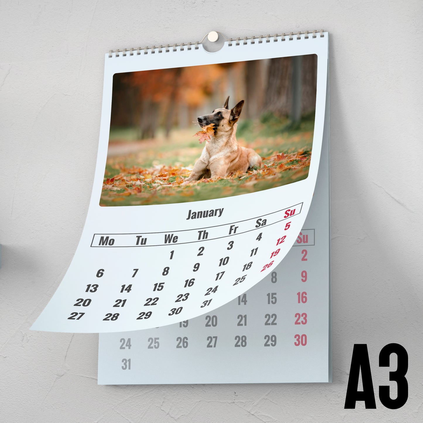 Personalised A3 Wall Calendar 2025