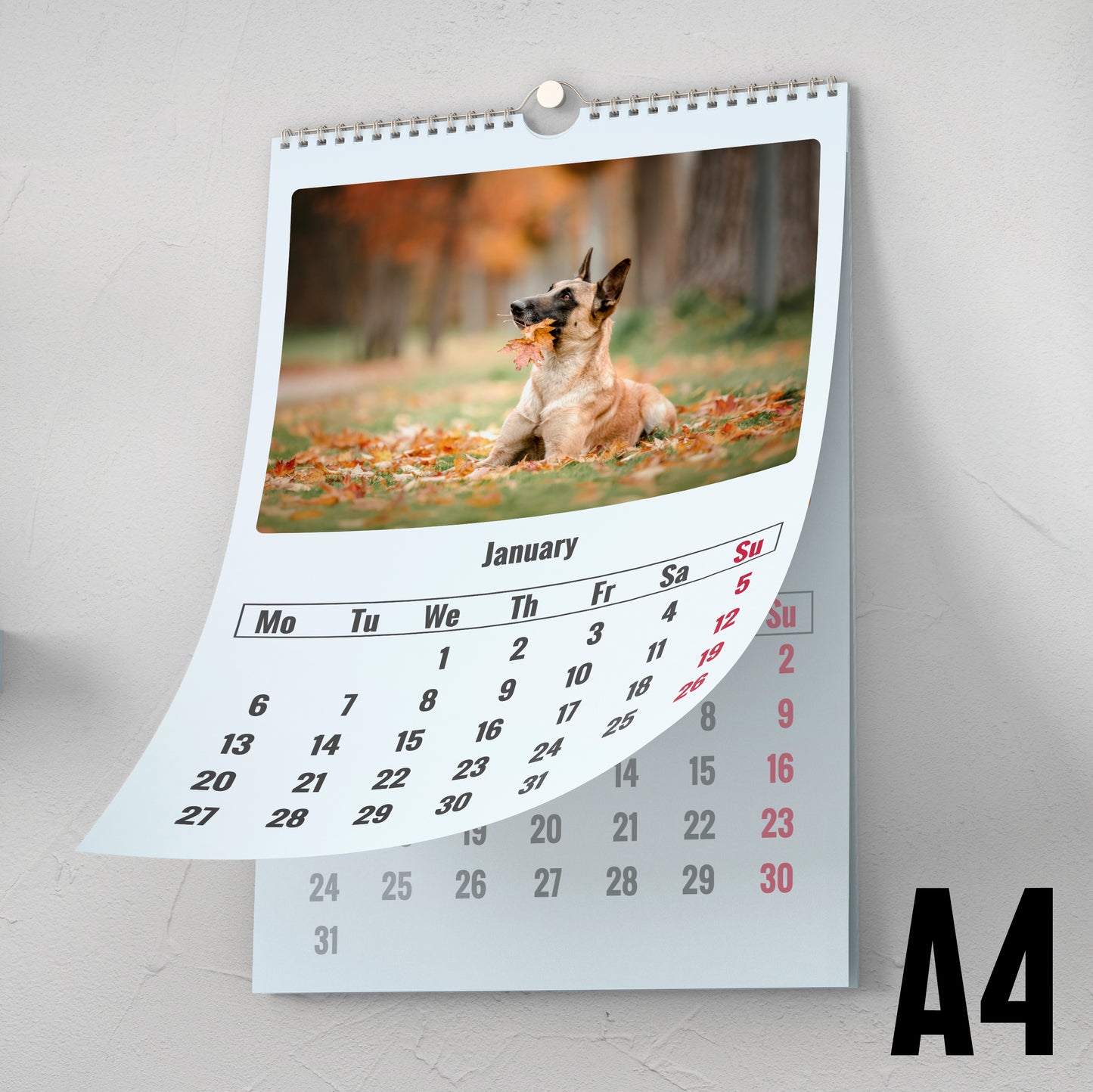 Personalised A4 Wall Calendar 2025